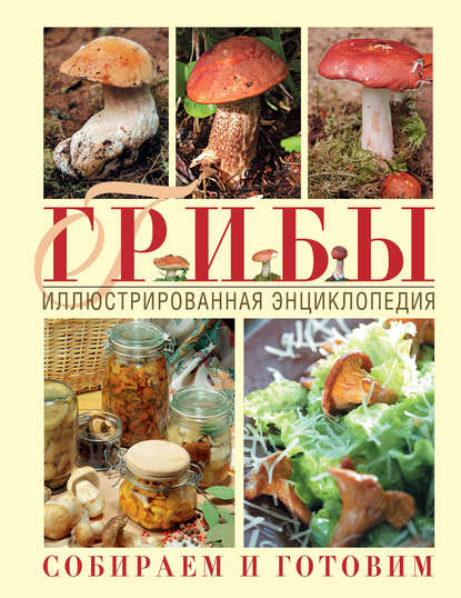 Грибы. Иллюстрированная энциклопедия. Собираем и готовим