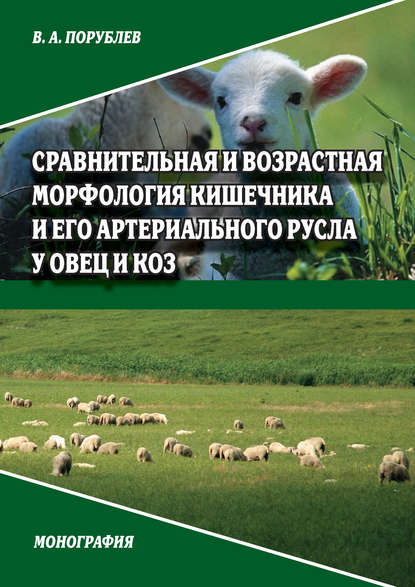 В. А. Порублев — Сравнительная и возрастная морфология кишечника и его артериального русла у овец и коз