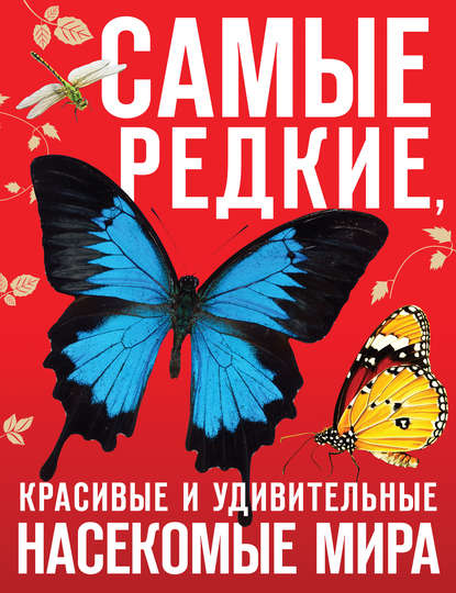 Самые редкие, красивые и удивительные насекомые мира
