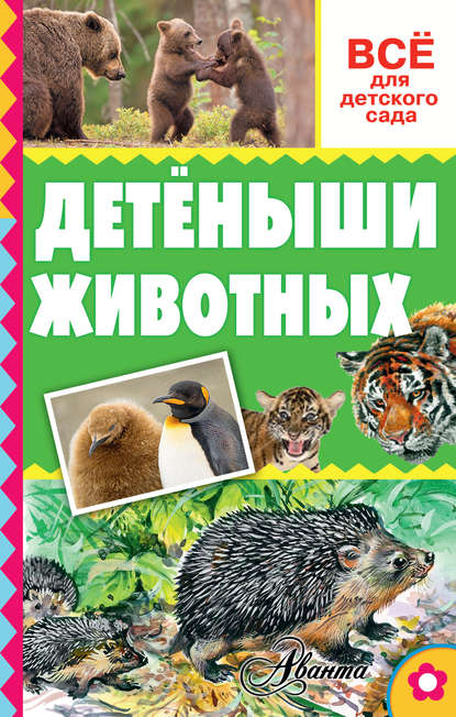 Детёныши животных
