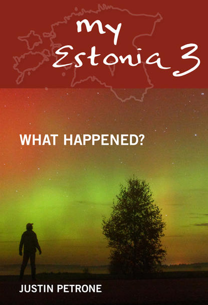 My Estonia 3. What Happened?