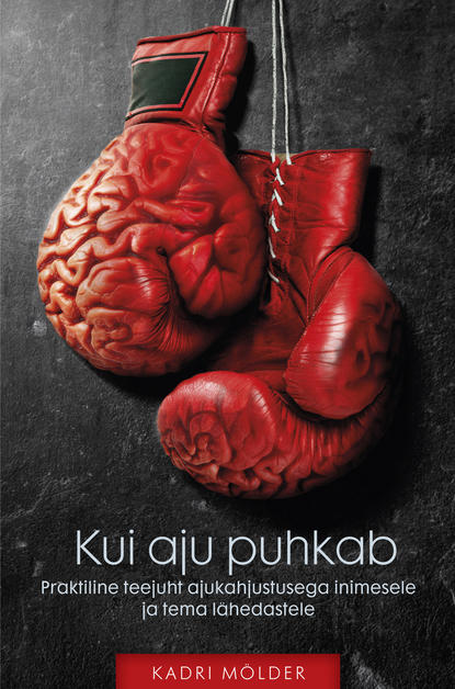 Kui aju puhkab. Praktiline teejuht ajukahjustusega inimesele ja tema lähedastele