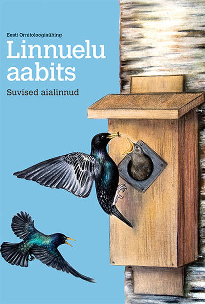 Linnuelu aabits. Suvised aialinnud
