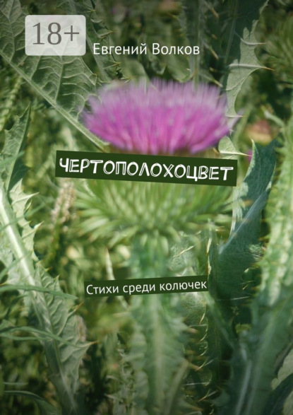

Чертополохоцвет. Стихи среди колючек