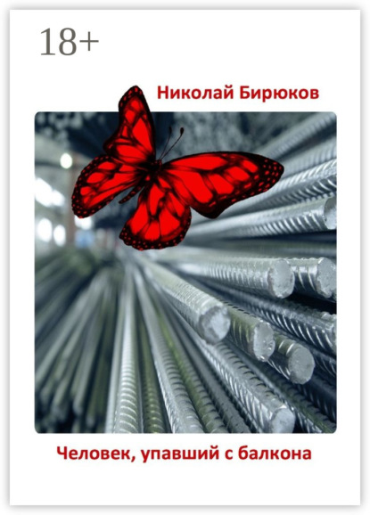 Николай Бирюков — Человек, упавший с балкона. Детектив, мистика, любовный роман