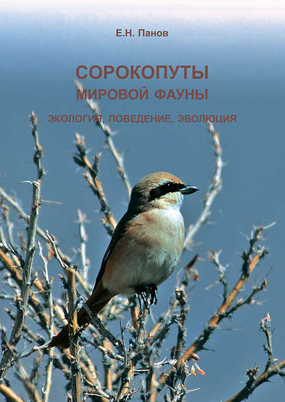 Е. Н. Панов — Сорокопуты (семейство Laniidae) мировой фауны. Экология, поведение, эволюция