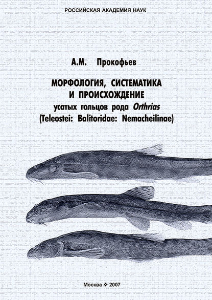 А. М. Прокофьев — Морфология, систематика и происхождение усатых гольцов рода Orthrias (Teleostei: Balitoridae: Nemacheilinae)