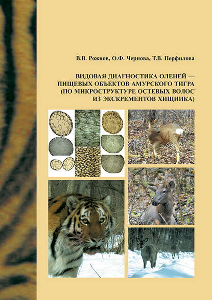 О. Ф. Чернова — Видовая диагностика оленей – пищевых объектов амурского тигра (по микроструктуре остевых волос из экскрементов хищника)