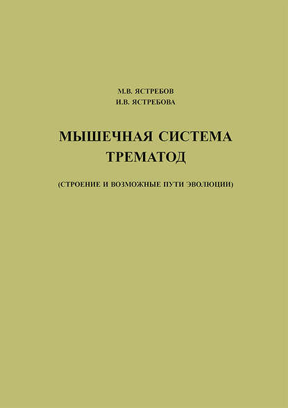 М. В. Ястребов — Мышечная система трематод (строение и возможные пути эволюции)