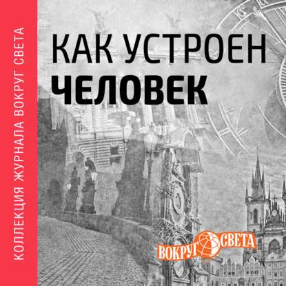 Как устроен человек