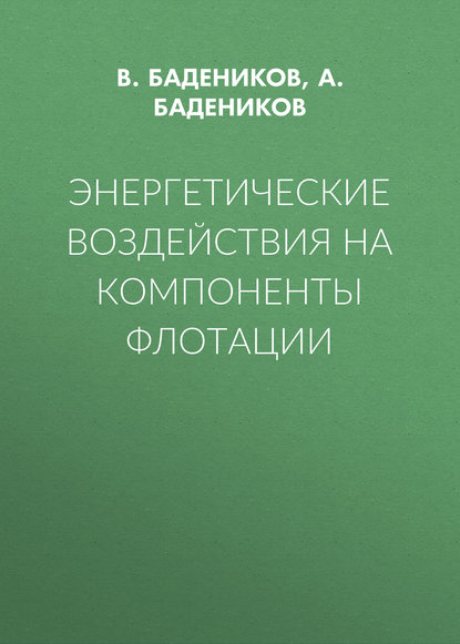 В. Бадеников — Энергетические воздействия на компоненты флотации