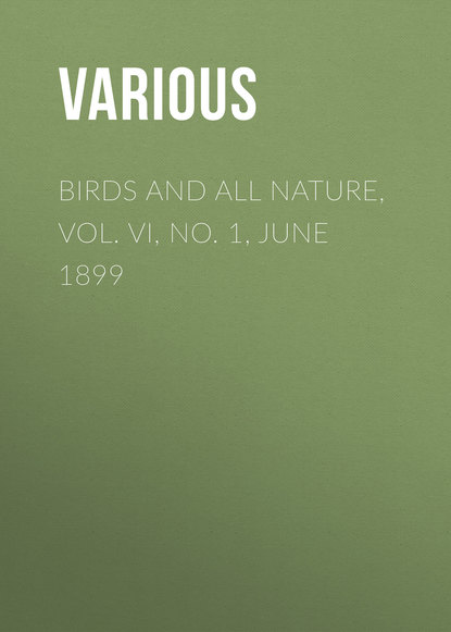 Birds and All Nature, Vol. VI, No. 1, June 1899