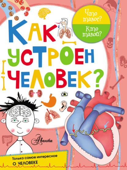 Как устроен человек?