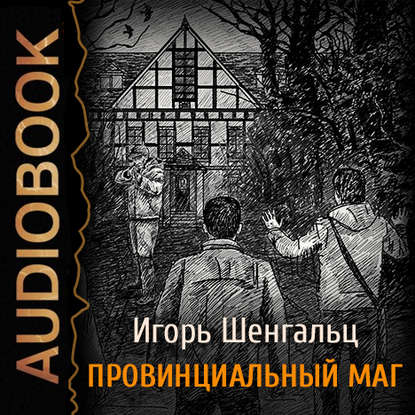 Аудиокнига «Провинциальный маг. Фактор Трикстера», Игорь Шенгальц
