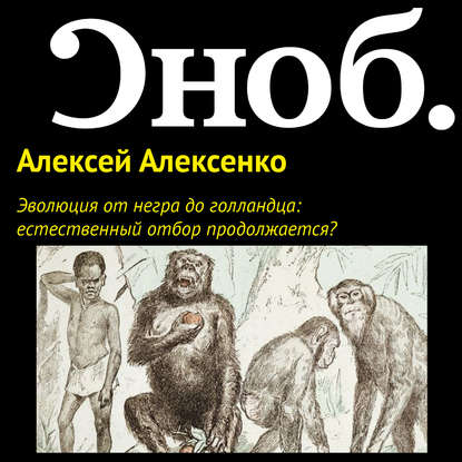 Эволюция от негра до голландца: естественный отбор продолжается?