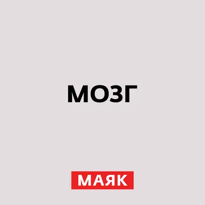 Животный мир Австралии