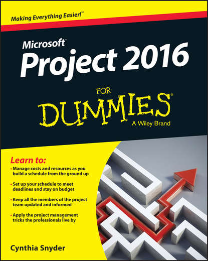 Cynthia Snyder Dionisio — Project 2016 For Dummies