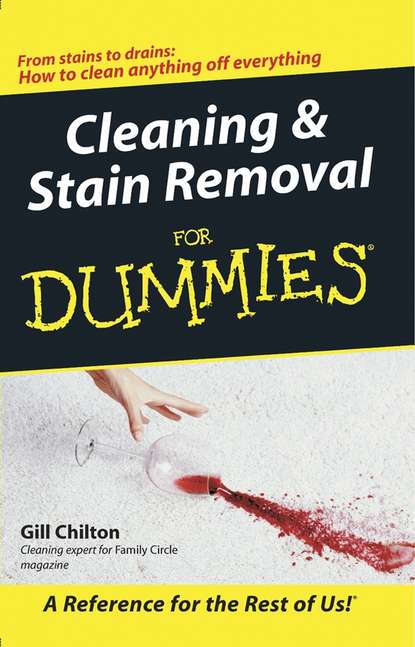 Gill Chilton — Cleaning and Stain Removal for Dummies