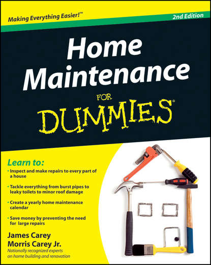 James Carey — Home Maintenance For Dummies