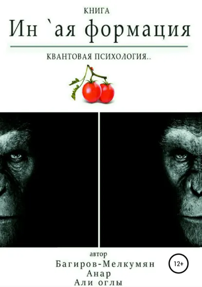 Обложка книги `Ин-ая формация. Квантовая психология, Анар Али оглы Багиров-Мелкумян