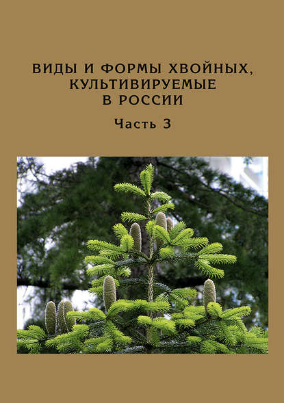 Д. Л. Матюхин — Виды и формы хвойных, культивируемые в России. Часть 3. Abies Mill., Chamaecyparis Spach