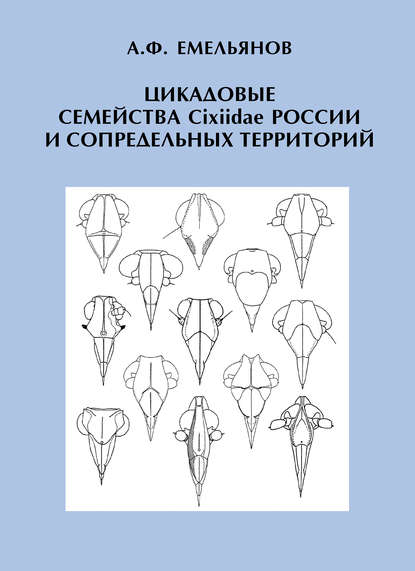 А. Ф. Емельянов — Цикадовые семейства Cixiidae России и сопредельных территорий