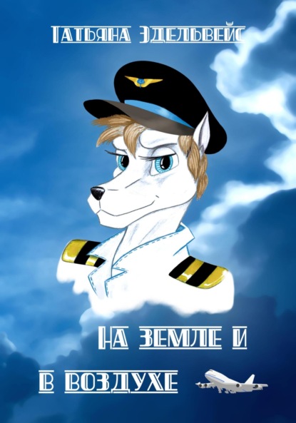 

На земле и в воздухе