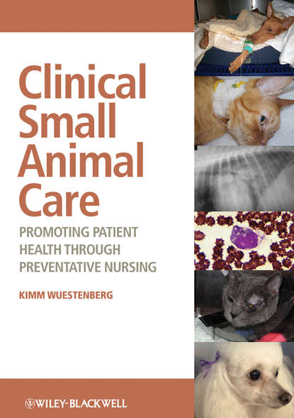 Kimm Wuestenberg — Clinical Small Animal Care. Promoting Patient Health through Preventative Nursing