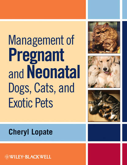 Cheryl Lopate — Management of Pregnant and Neonatal Dogs, Cats, and Exotic Pets