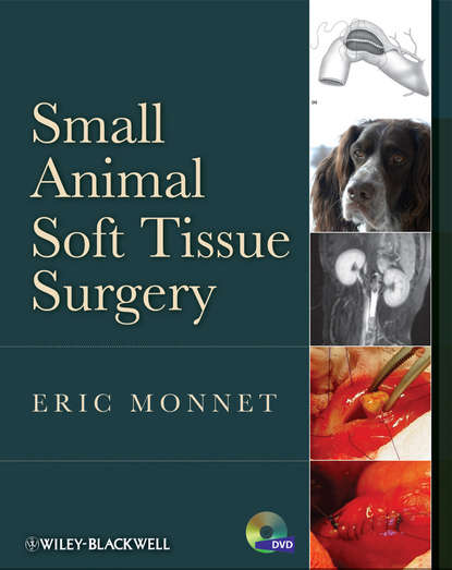 

Small Animal Soft Tissue Surgery