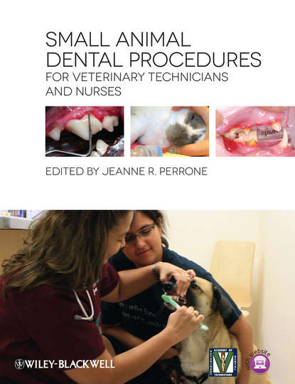 Jeanne Perrone R. — Small Animal Dental Procedures for Veterinary Technicians and Nurses