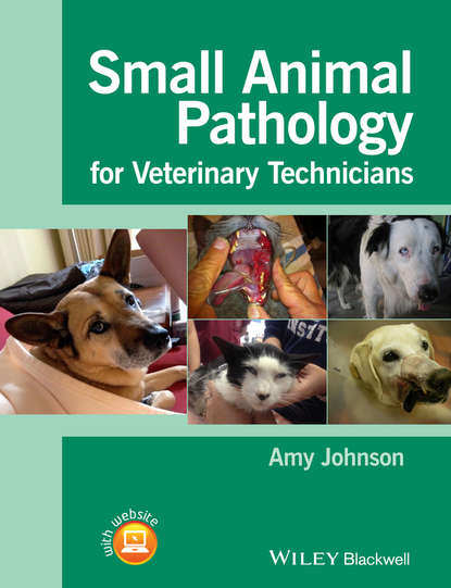 Amy Johnson — Small Animal Pathology for Veterinary Technicians