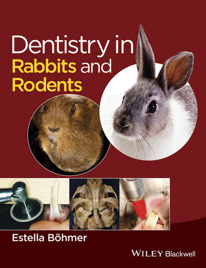 Estella B?hmer — Dentistry in Rabbits and Rodents