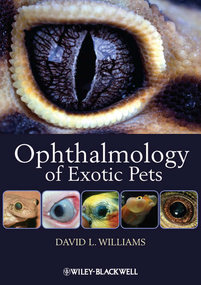 David Williams L. — Ophthalmology of Exotic Pets