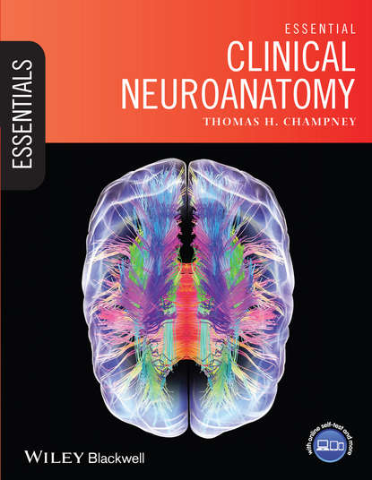 Thomas Champney H. — Essential Clinical Neuroanatomy