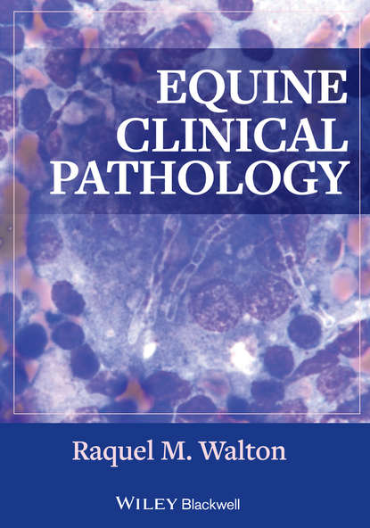 Raquel Walton M. — Equine Clinical Pathology