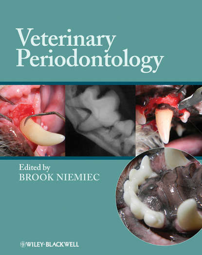 Brook Niemiec — Veterinary Periodontology