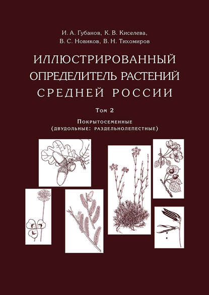 В. С. Новиков — Иллюстрированный определитель растений Средней России. Том 2. Покрытосеменные (двудольные: раздельнолепестные)