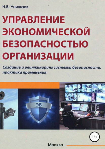 Николай Владимирович Унижаев — Управление экономической безопасностью организации