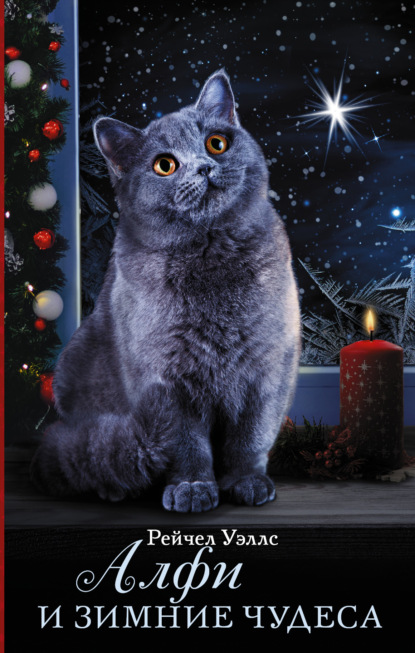 

Алфи и зимние чудеса