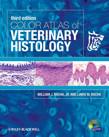 Bacha Linda M. — Color Atlas of Veterinary Histology