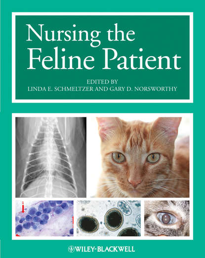 Norsworthy Gary D. — Nursing the Feline Patient