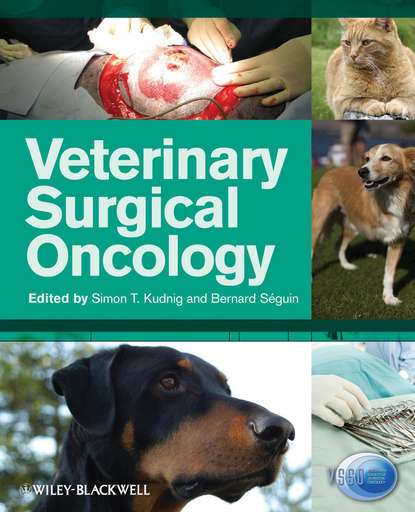 S?guin Bernard — Veterinary Surgical Oncology