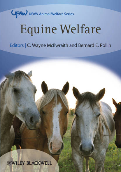 McIlwraith C. Wayne — Equine Welfare