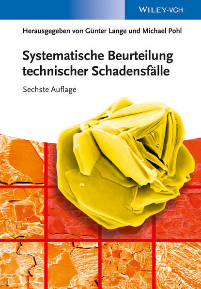 Группа авторов — Systematische Beurteilung technischer Schadensf?lle