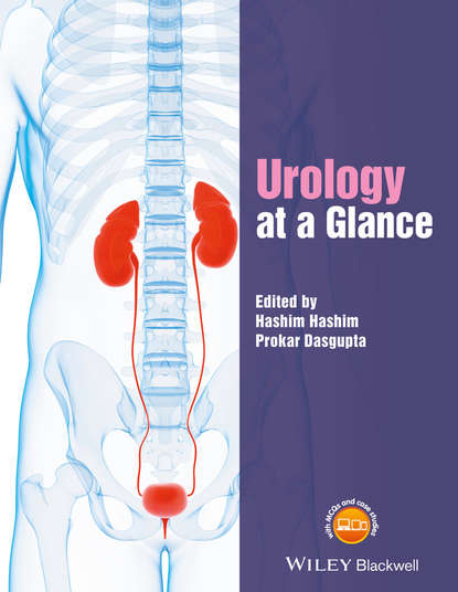 Hashim Hashim — Urology at a Glance