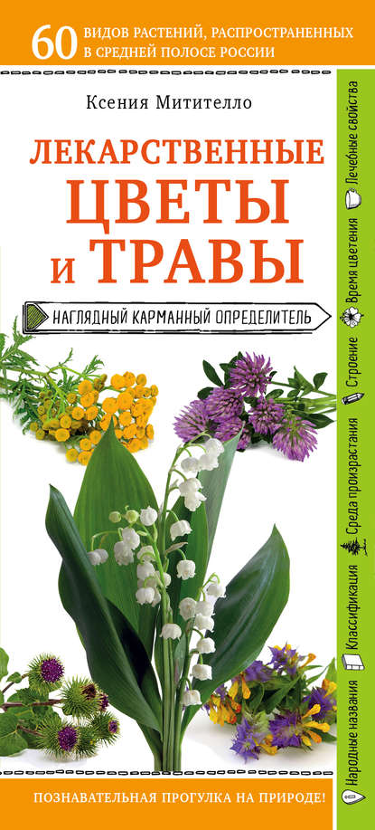 Лекарственные растения и травы. Определитель трав русских лесов и полей