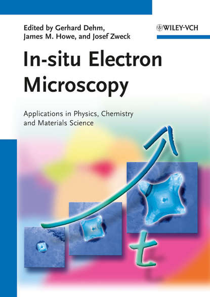 Группа авторов — In-situ Electron Microscopy