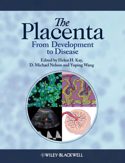 

The Placenta