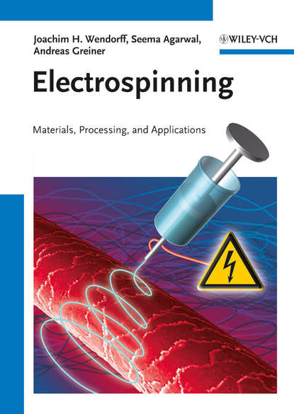 Joachim H. Wendorff — Electrospinning